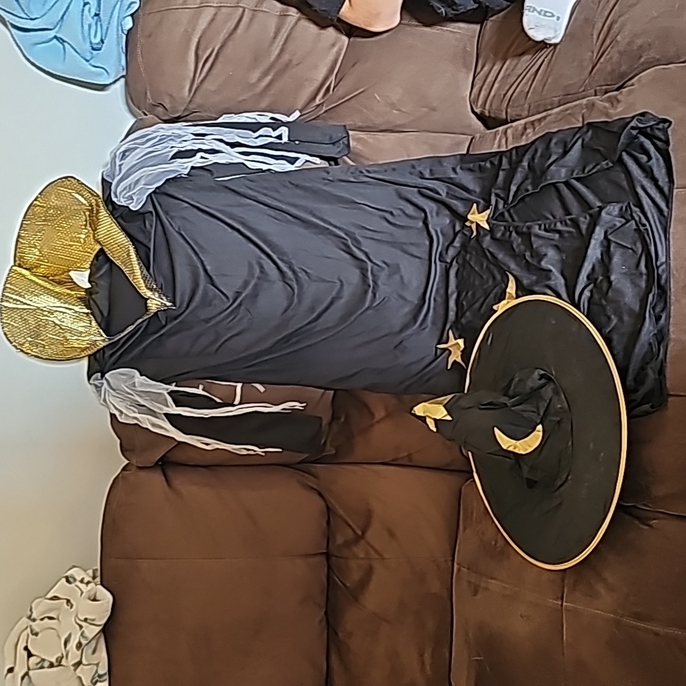 Wizard Halloween costume